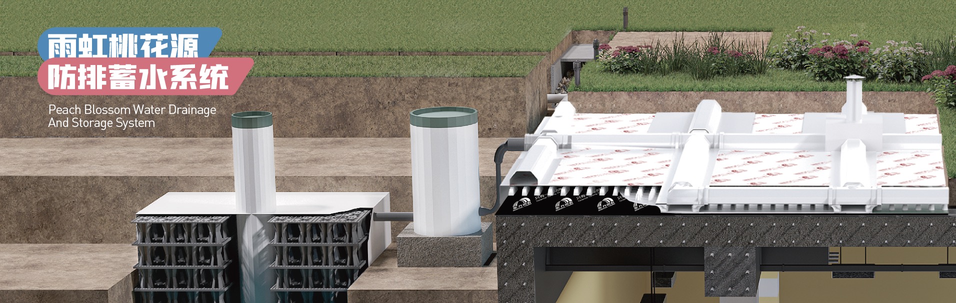 888�ڲ���-����Ϊ��,רҵ����