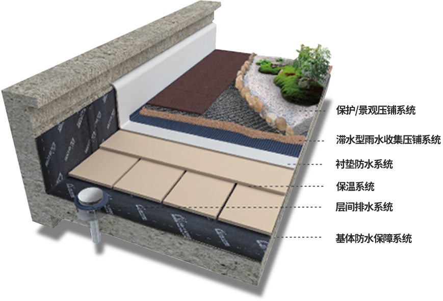 888�ڲ���-����Ϊ��,רҵ����