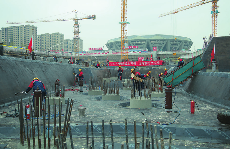 888�ڲ���-����Ϊ��,רҵ����