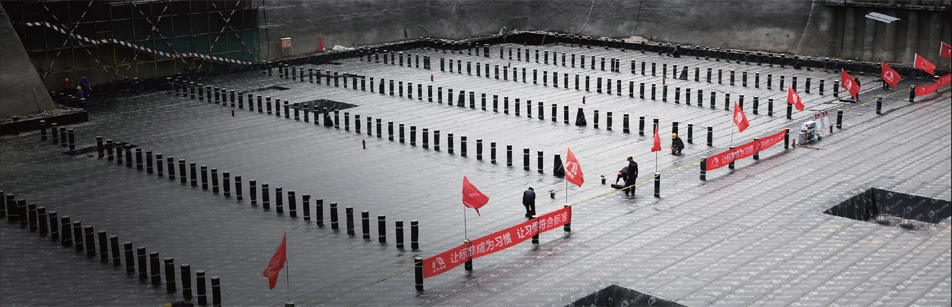 888�ڲ���-����Ϊ��,רҵ����