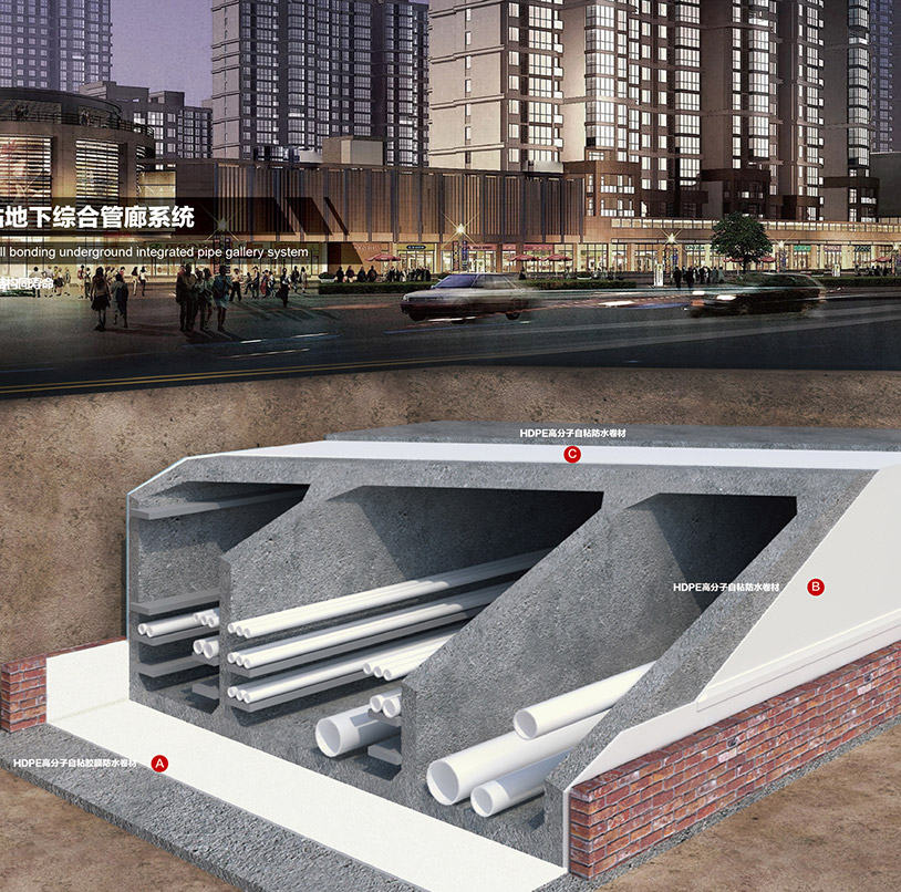 888�ڲ���-����Ϊ��,רҵ����