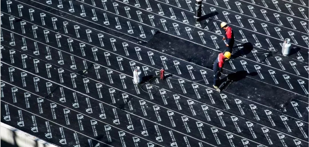 888�ڲ���-����Ϊ��,רҵ����