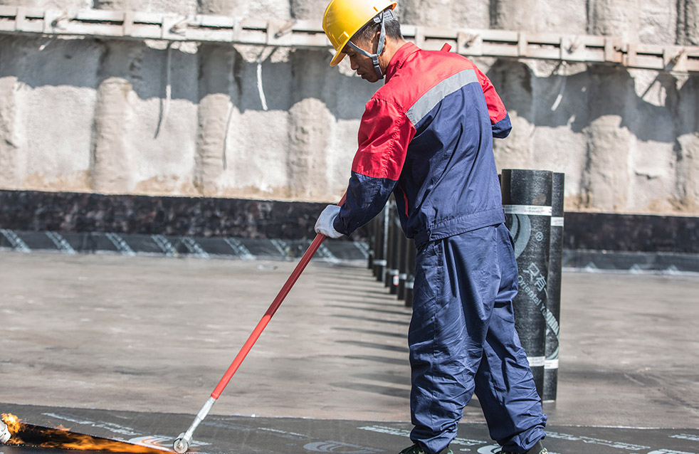 888�ڲ���-����Ϊ��,רҵ����