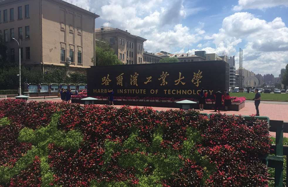 888�ڲ���-����Ϊ��,רҵ����