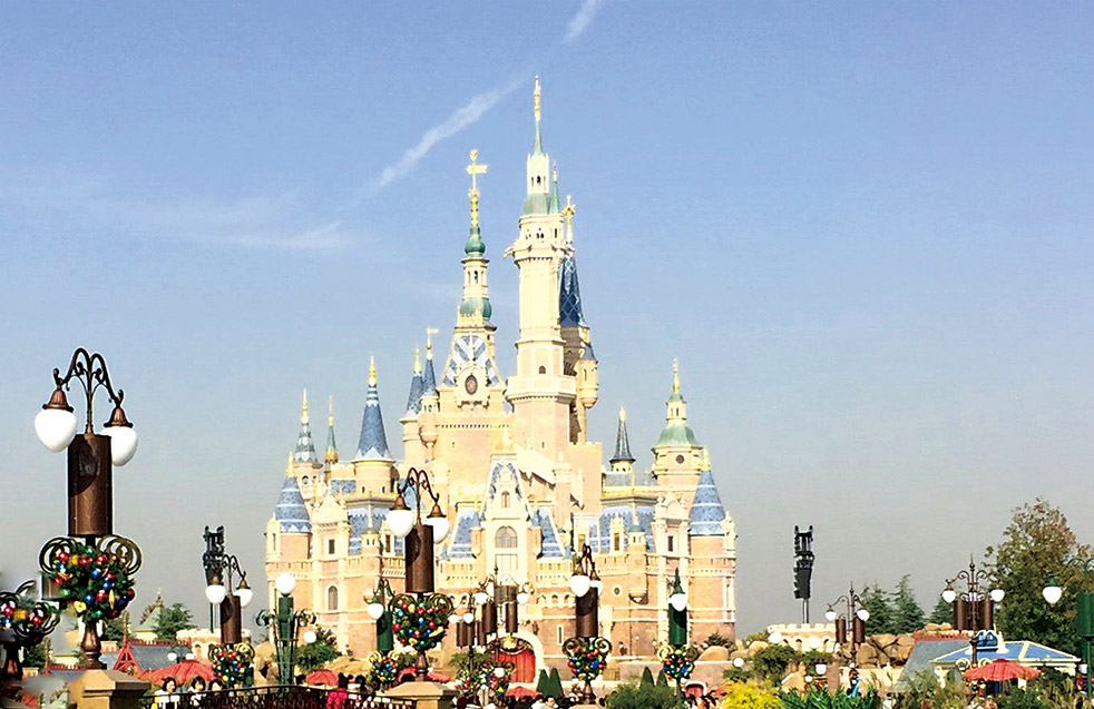 888�ڲ���-����Ϊ��,רҵ����