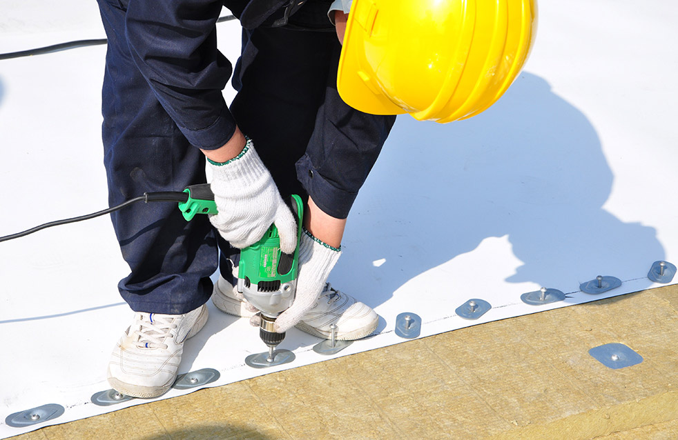 888�ڲ���-����Ϊ��,רҵ����