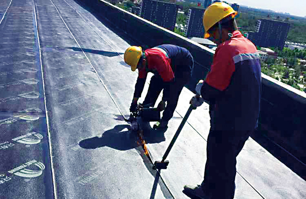 888�ڲ���-����Ϊ��,רҵ����