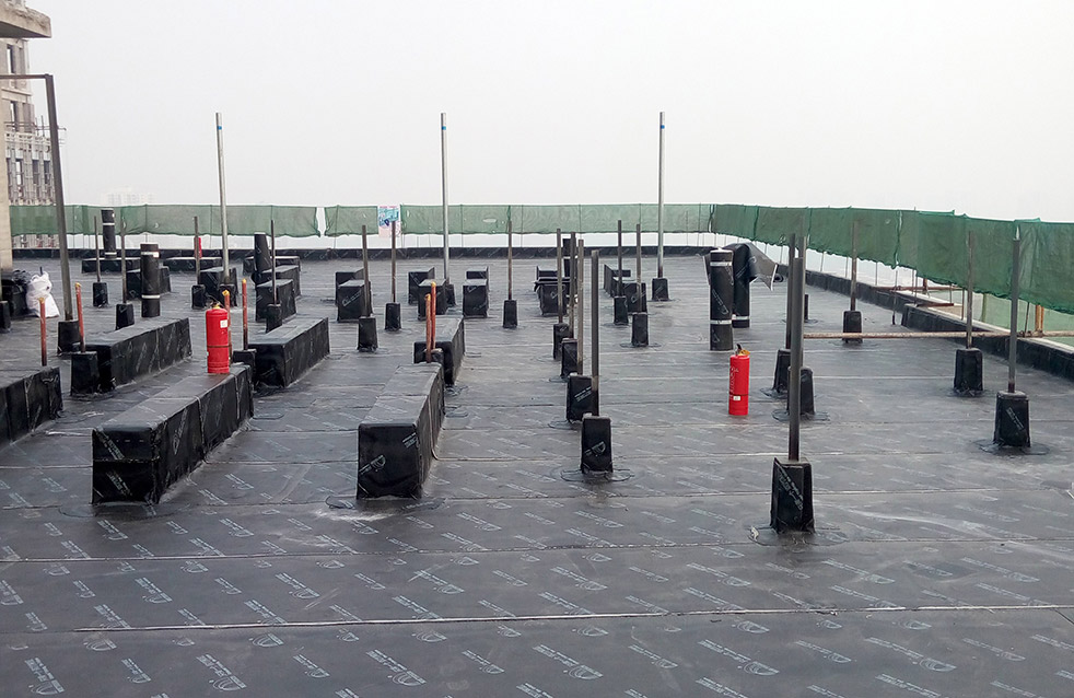 888�ڲ���-����Ϊ��,רҵ����