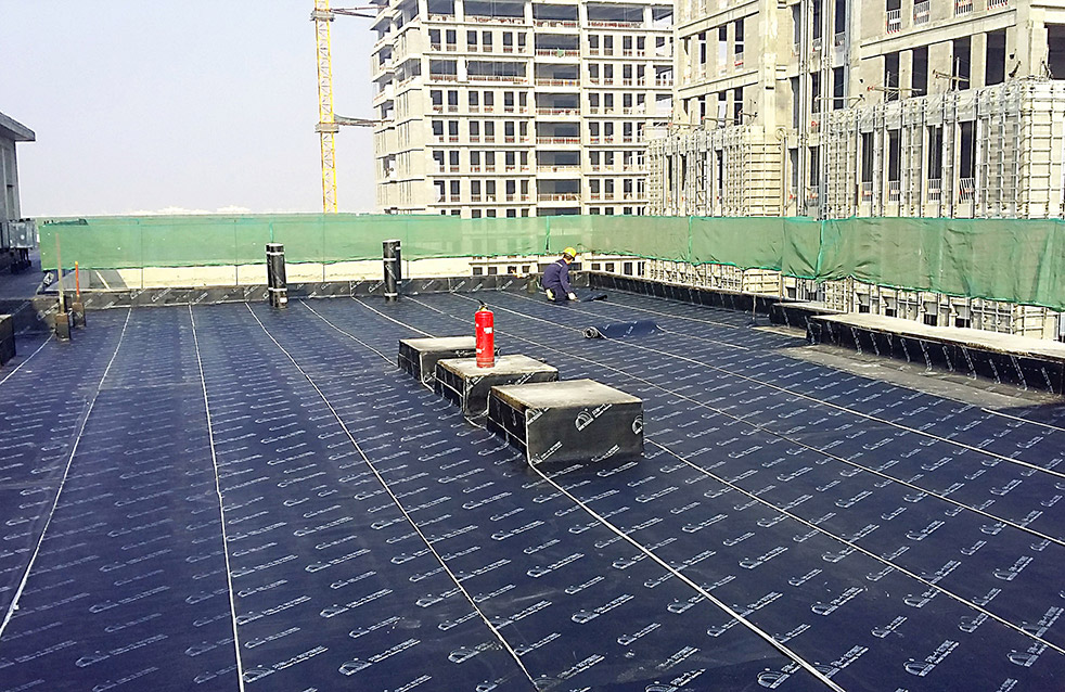 888�ڲ���-����Ϊ��,רҵ����