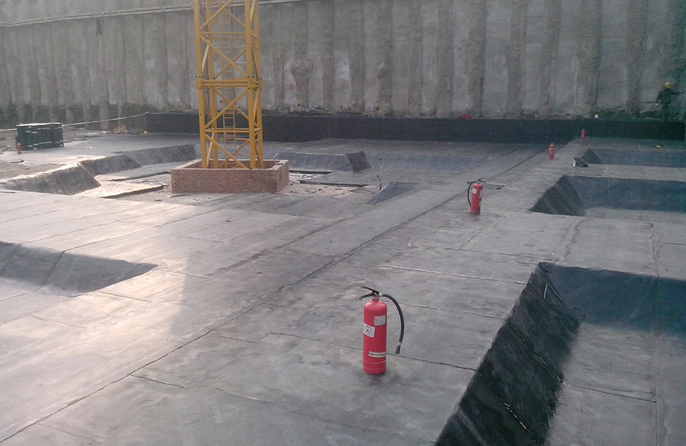 888�ڲ���-����Ϊ��,רҵ����