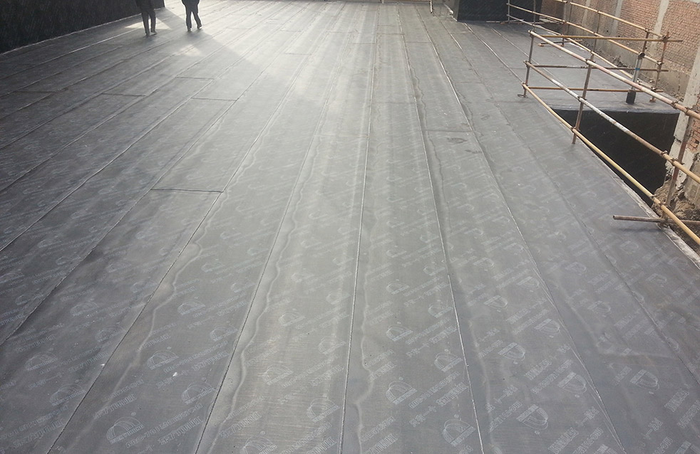 888�ڲ���-����Ϊ��,רҵ����