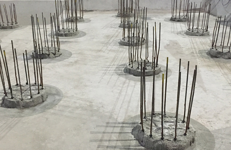 888�ڲ���-����Ϊ��,רҵ����