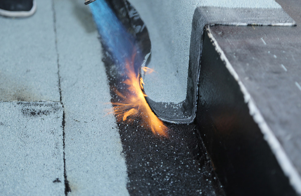 888�ڲ���-����Ϊ��,רҵ����