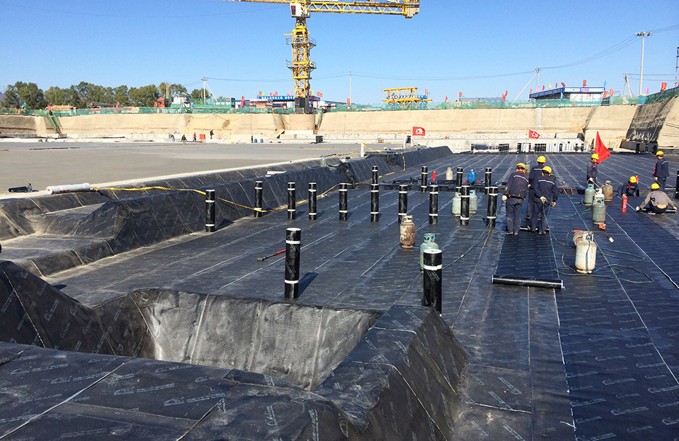 888�ڲ���-����Ϊ��,רҵ����