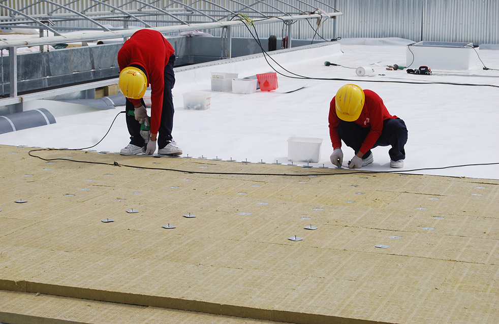 888�ڲ���-����Ϊ��,רҵ����