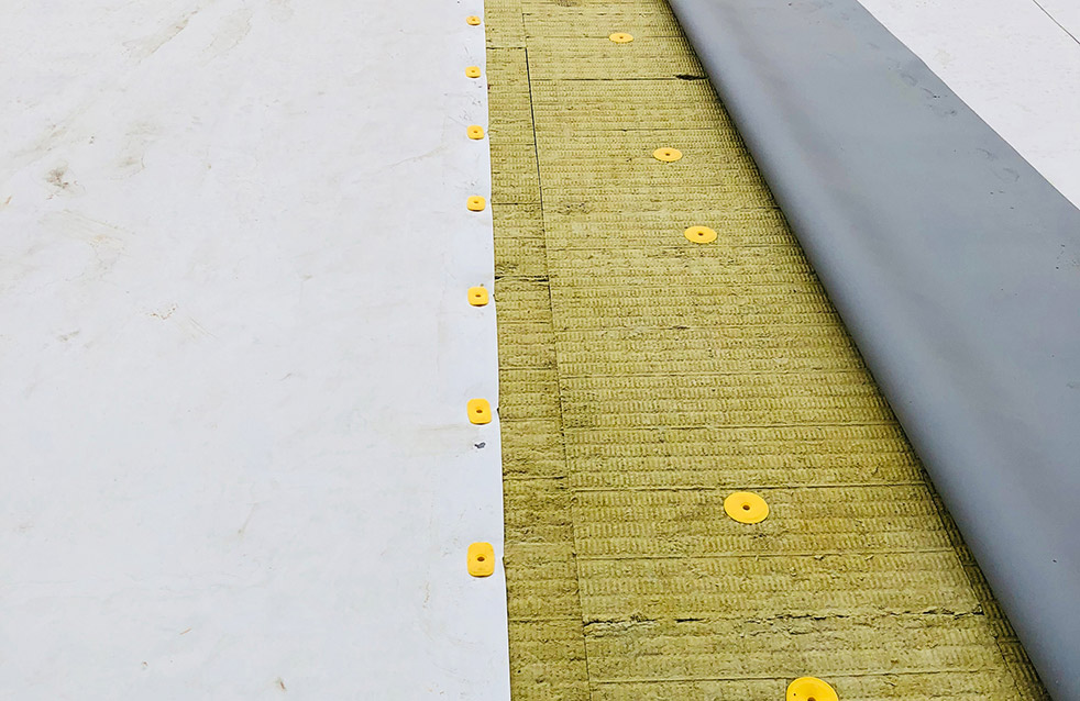 888�ڲ���-����Ϊ��,רҵ����