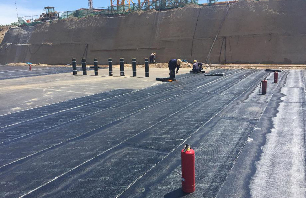 888�ڲ���-����Ϊ��,רҵ����