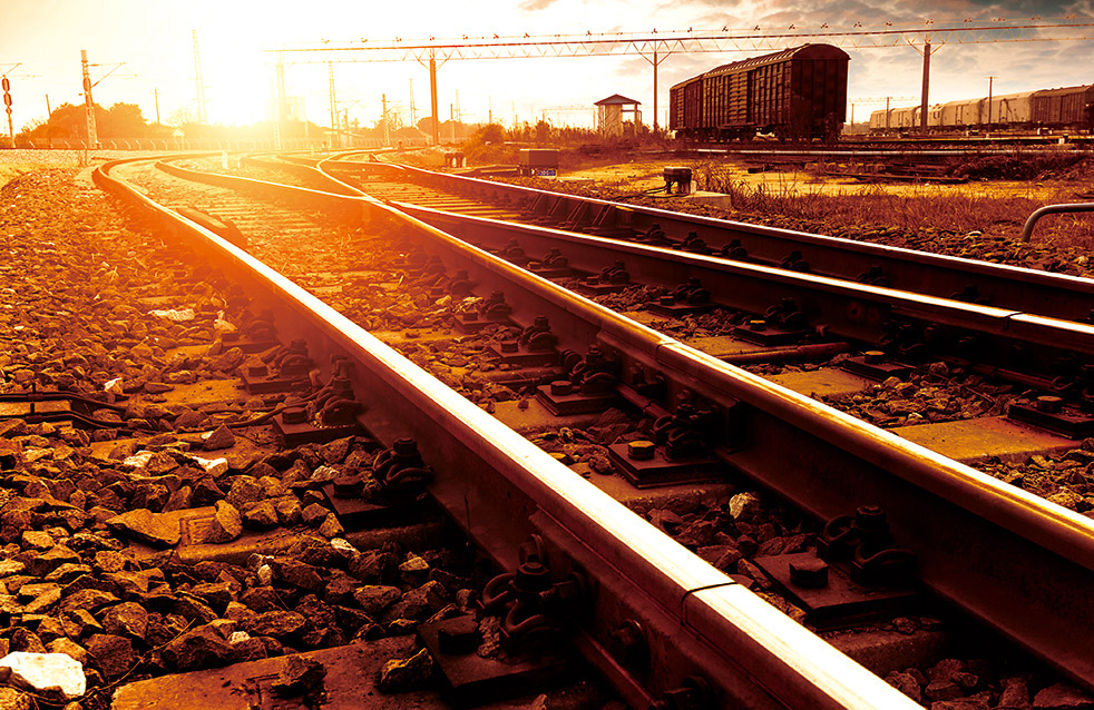 888�ڲ���-����Ϊ��,רҵ����