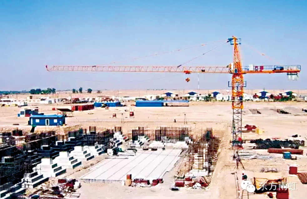 888�ڲ���-����Ϊ��,רҵ����