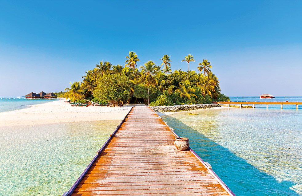 888�ڲ���-����Ϊ��,רҵ����