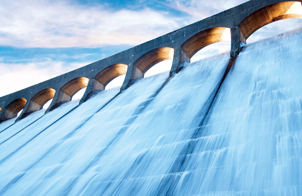 888�ڲ���-����Ϊ��,רҵ����