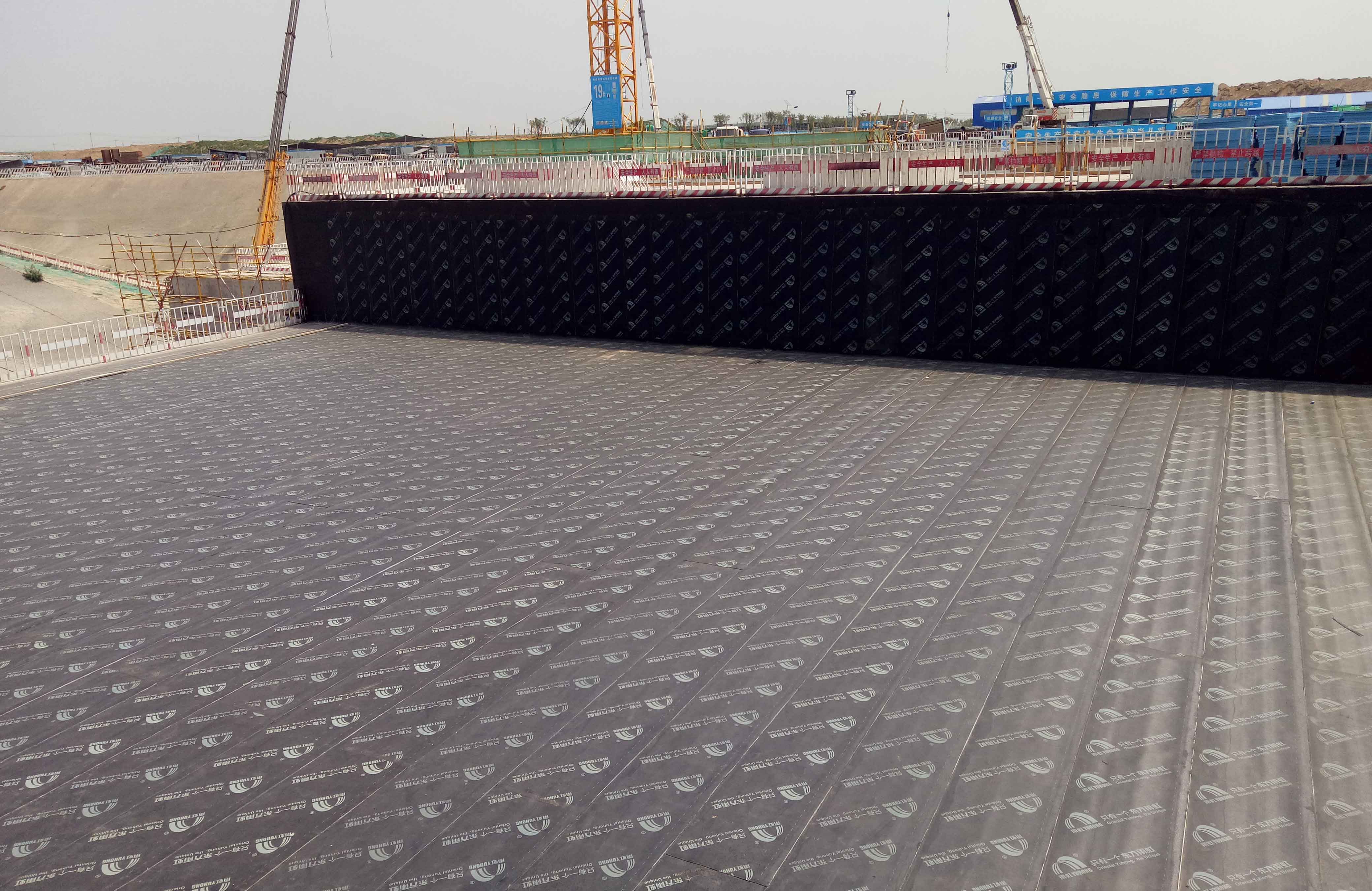 888�ڲ���-����Ϊ��,רҵ����