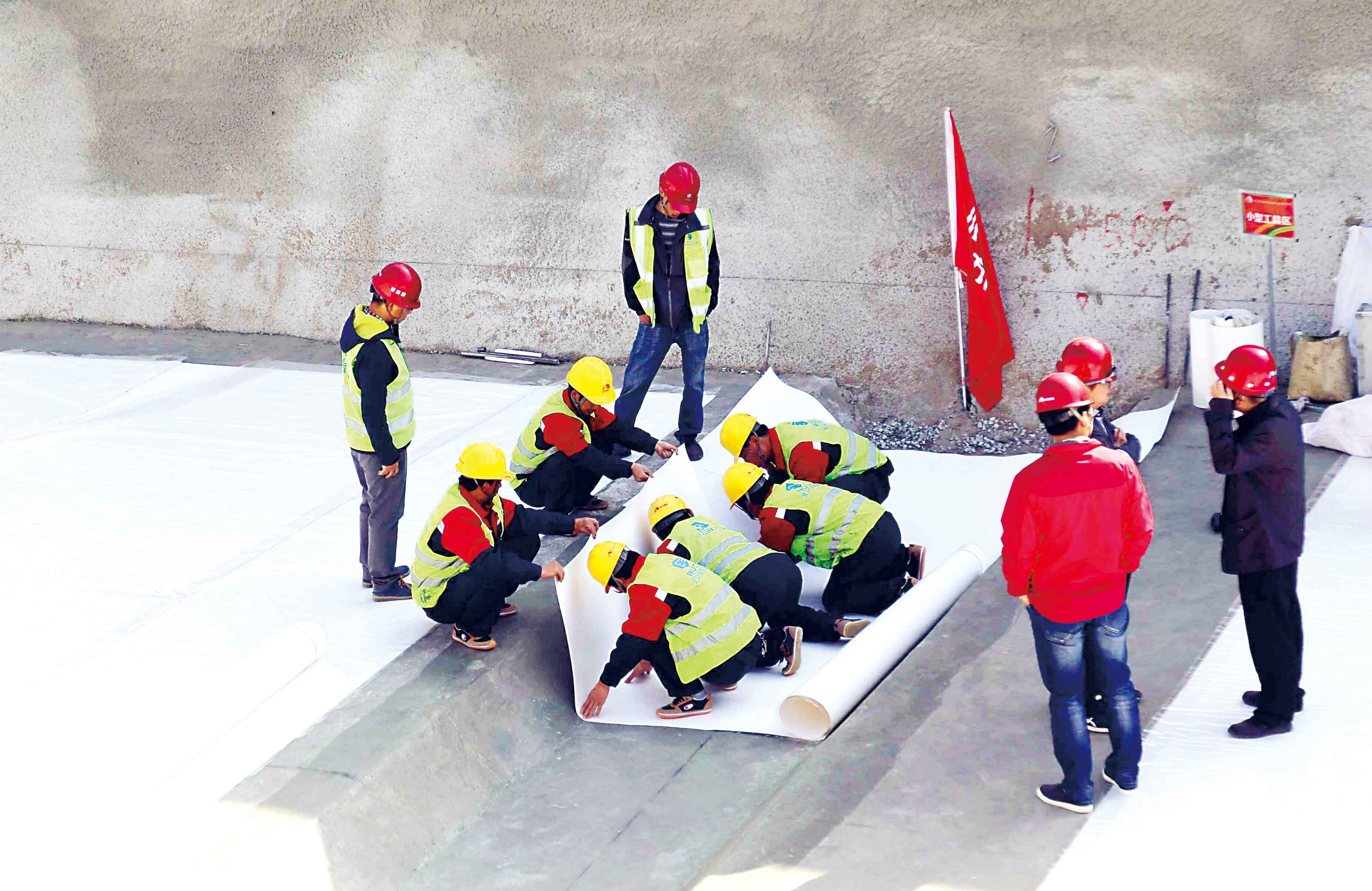 888�ڲ���-����Ϊ��,רҵ����