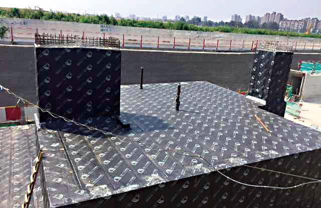 888�ڲ���-����Ϊ��,רҵ����