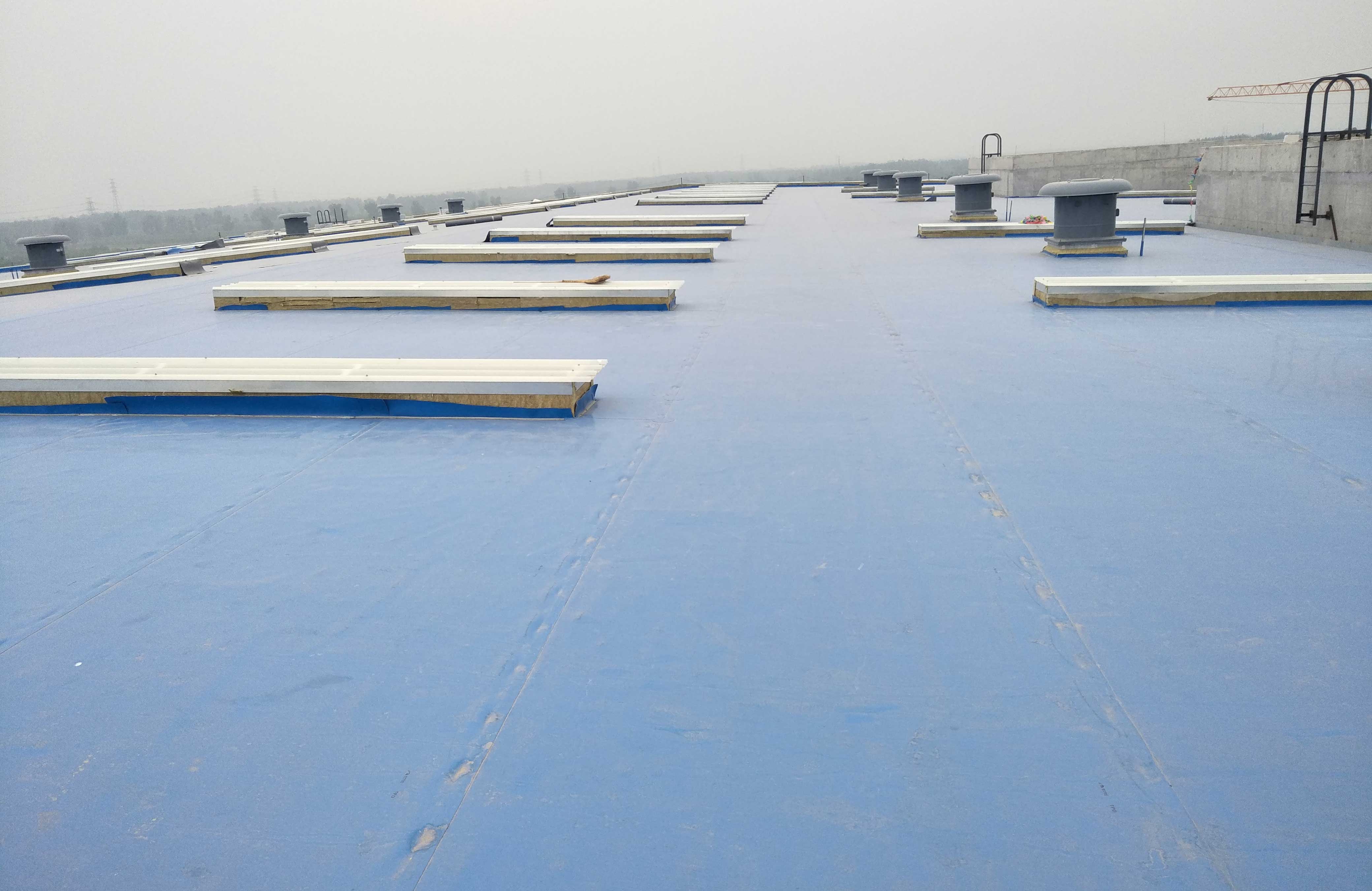 888�ڲ���-����Ϊ��,רҵ����