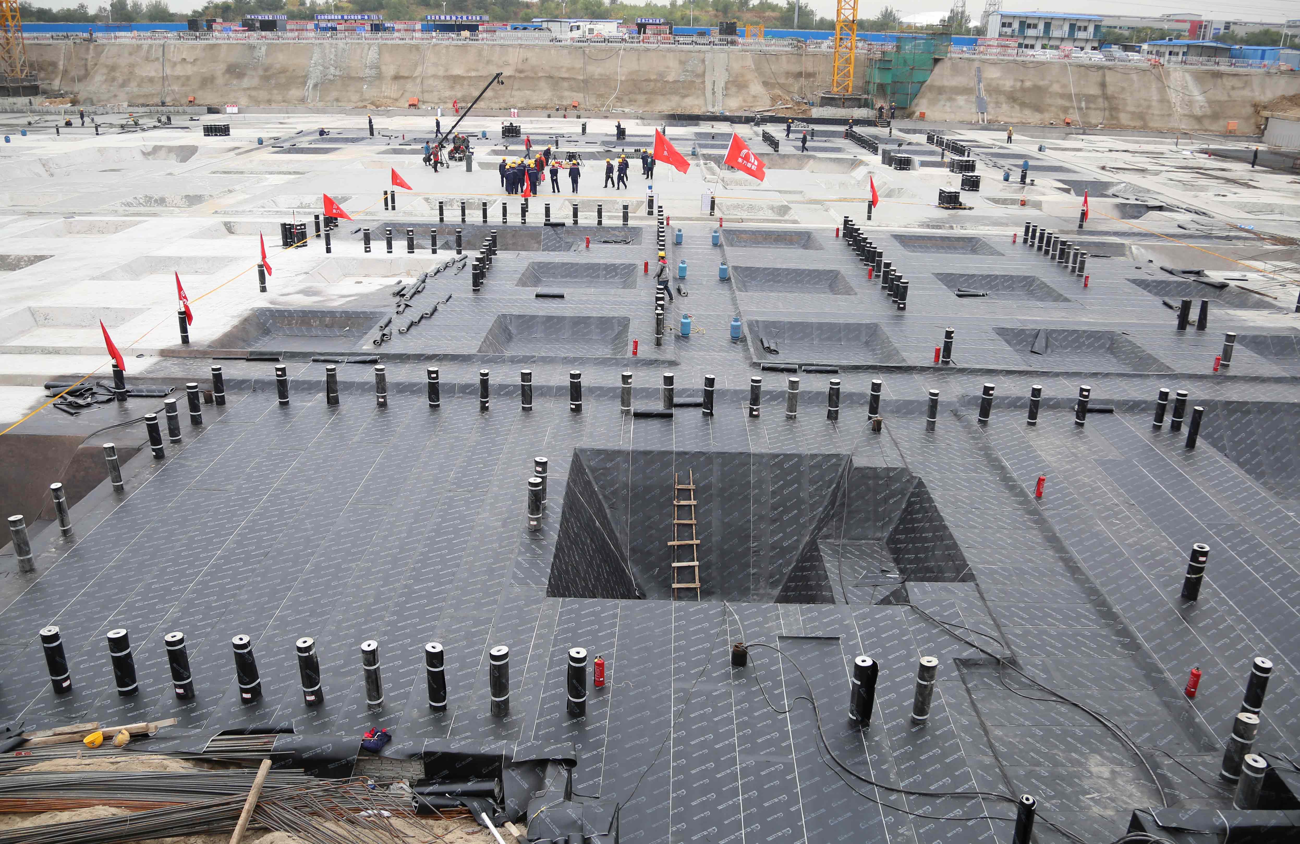 888�ڲ���-����Ϊ��,רҵ����