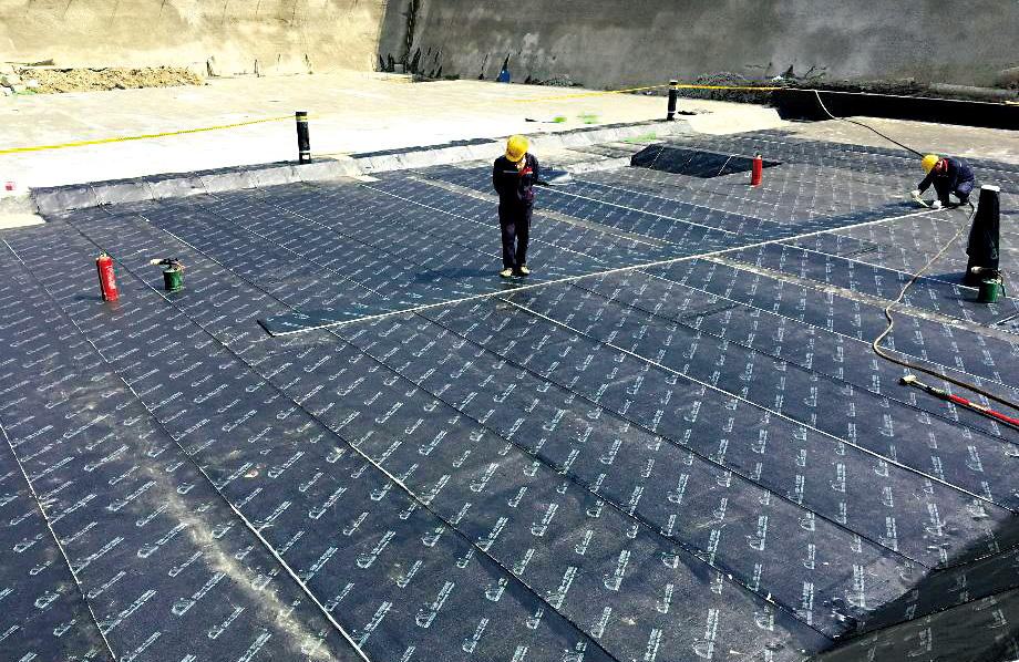 888�ڲ���-����Ϊ��,רҵ����