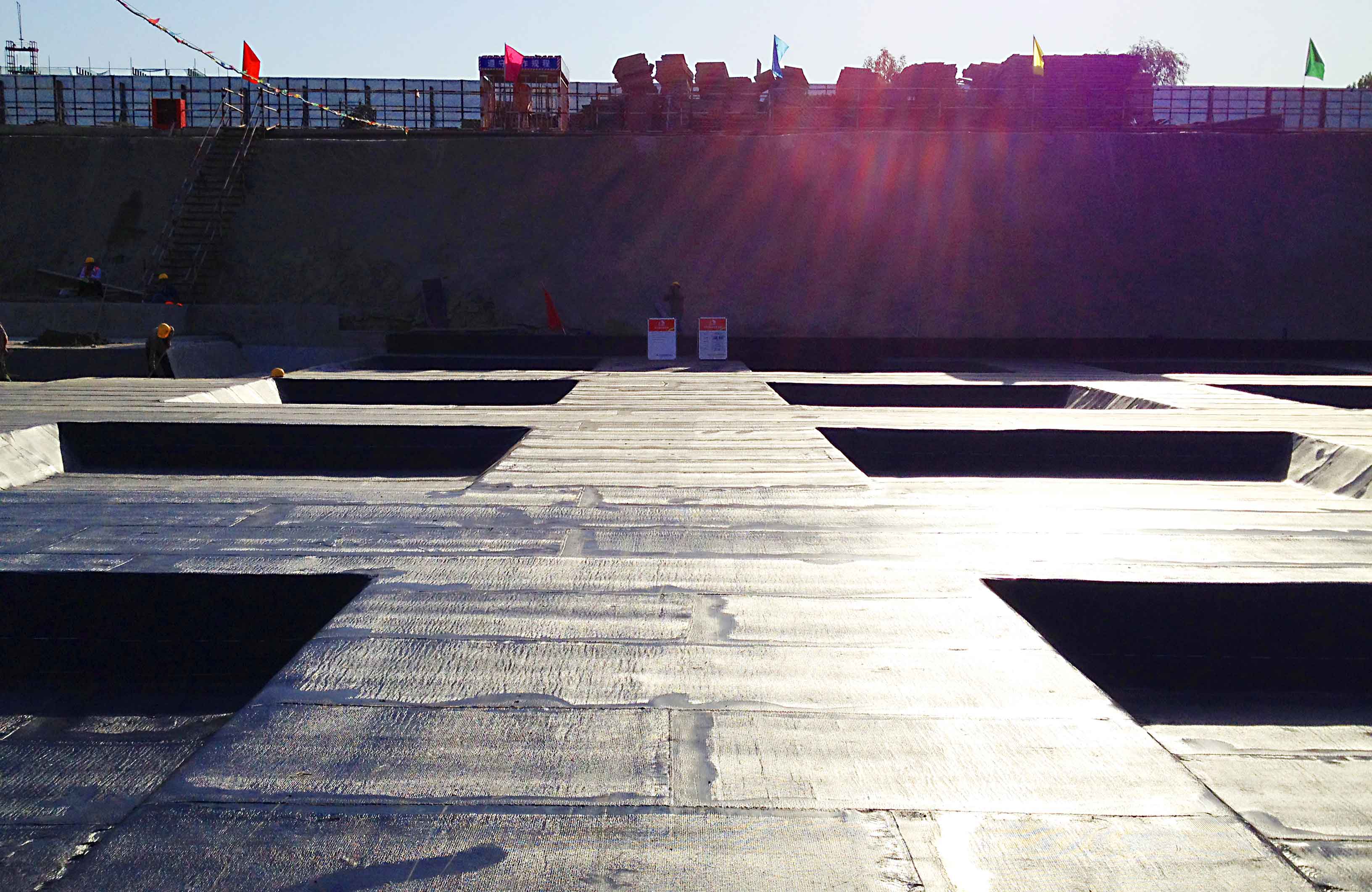 888�ڲ���-����Ϊ��,רҵ����