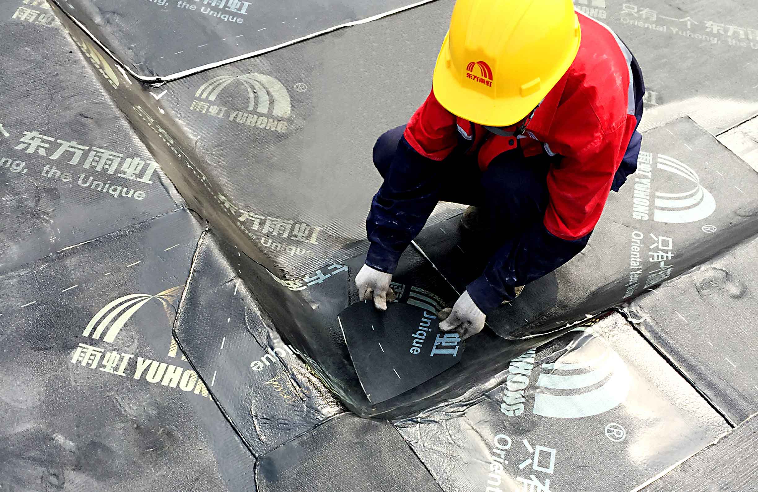 888�ڲ���-����Ϊ��,רҵ����