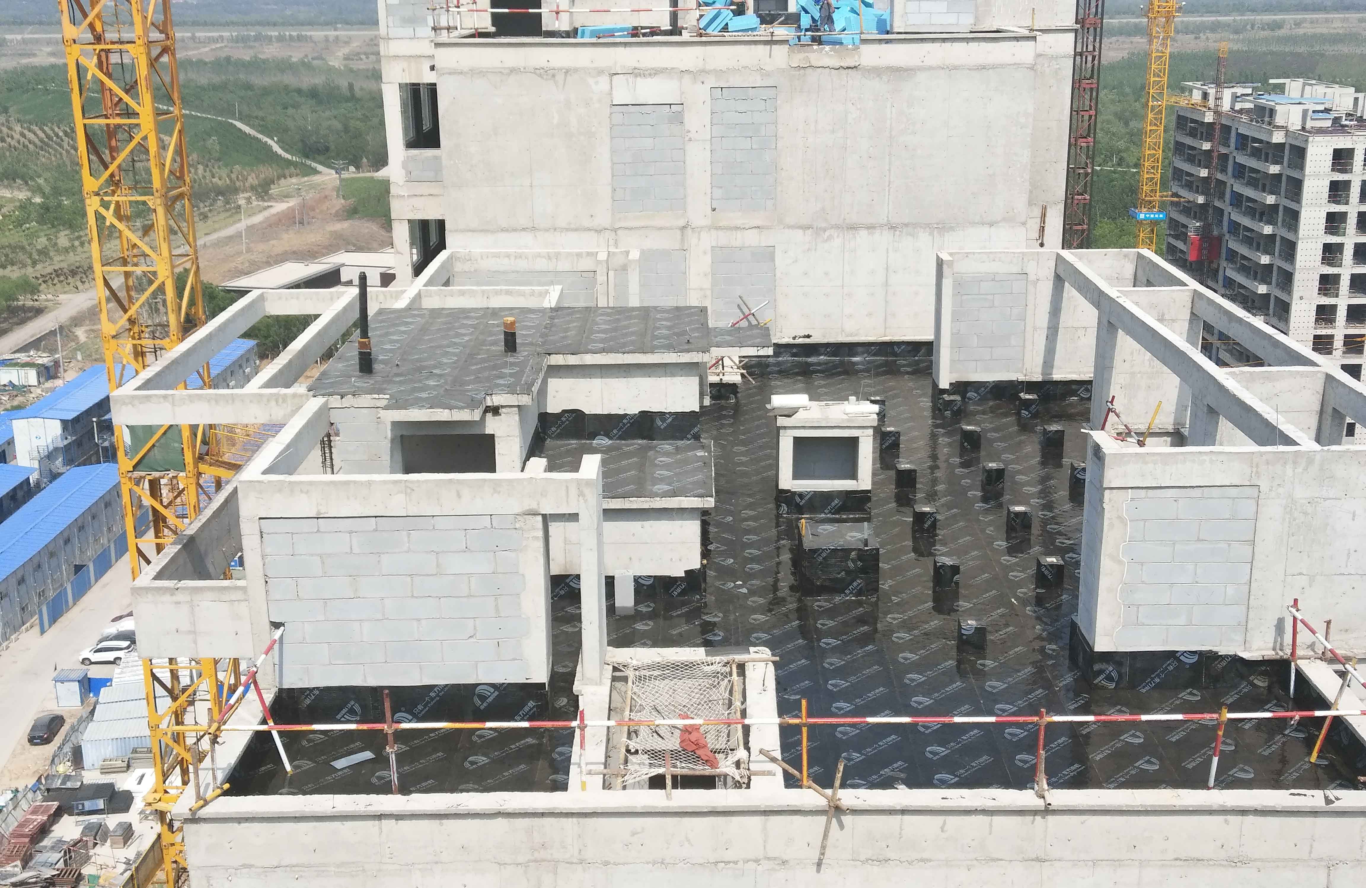 888�ڲ���-����Ϊ��,רҵ����