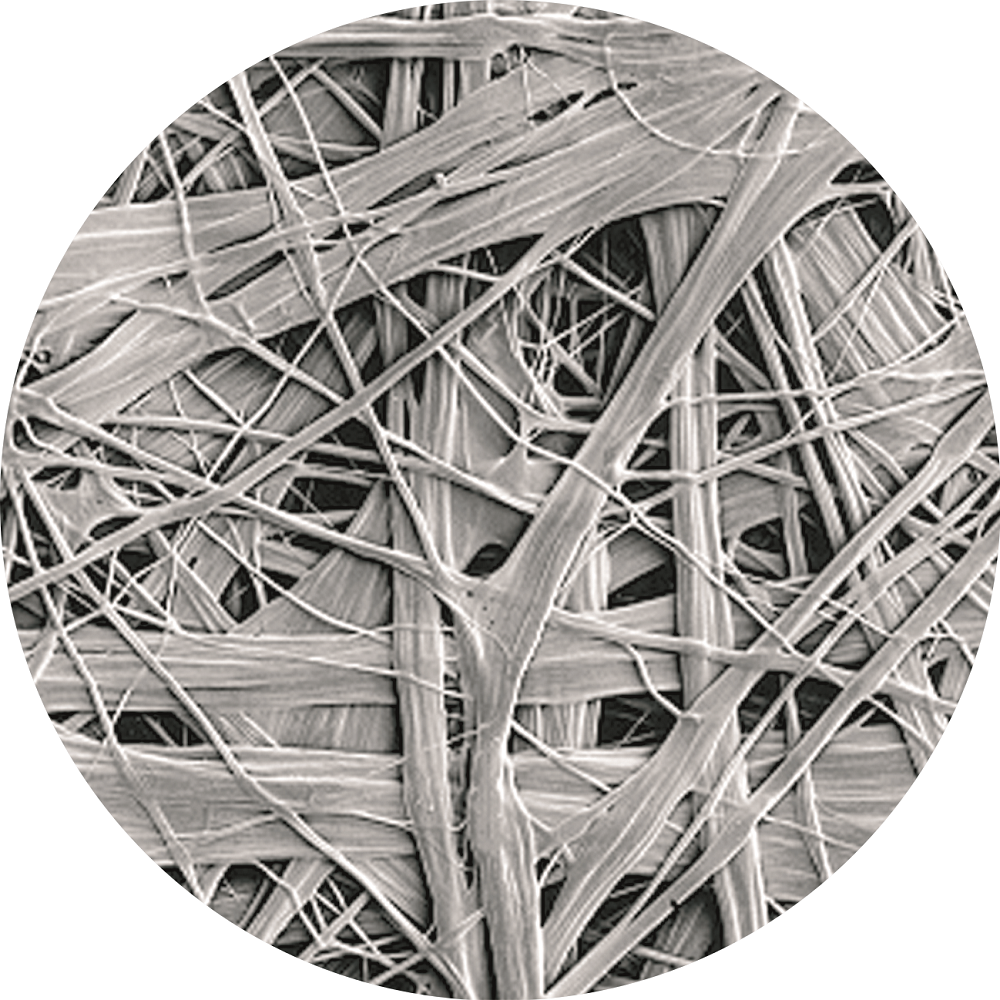 888�ڲ���-����Ϊ��,רҵ����