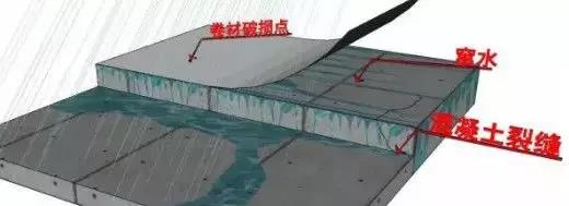 888�ڲ���-����Ϊ��,רҵ����