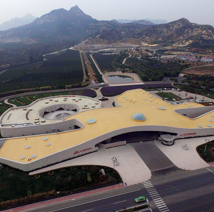 888�ڲ���-����Ϊ��,רҵ����