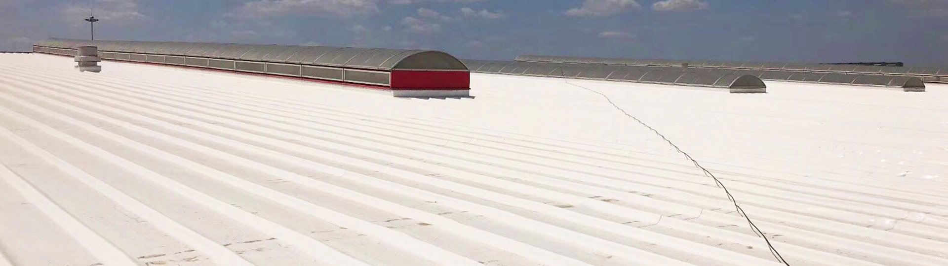 888�ڲ���-����Ϊ��,רҵ����