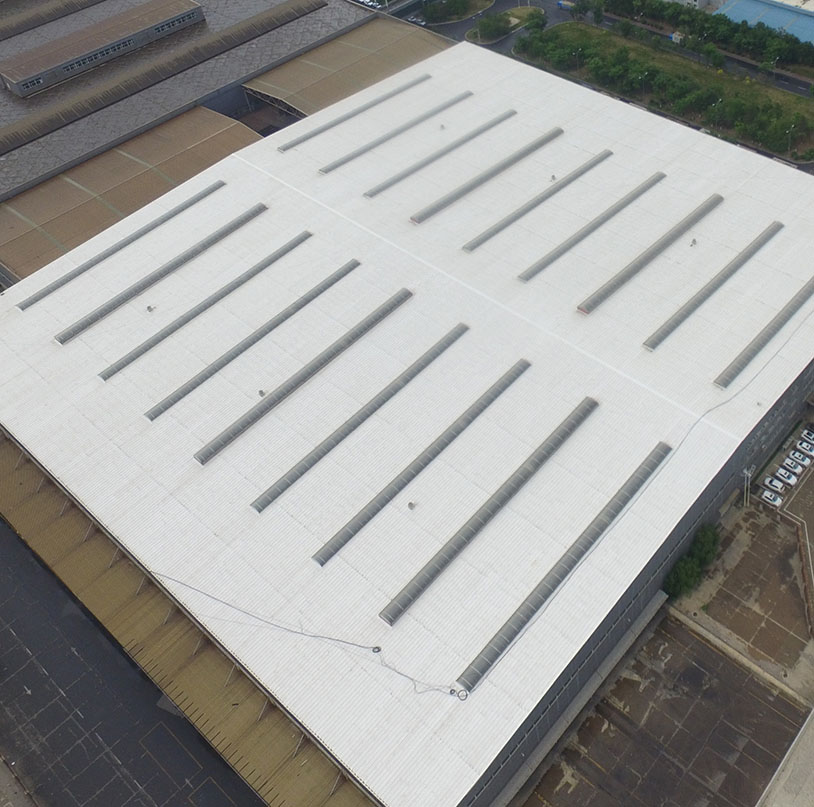 888�ڲ���-����Ϊ��,רҵ����