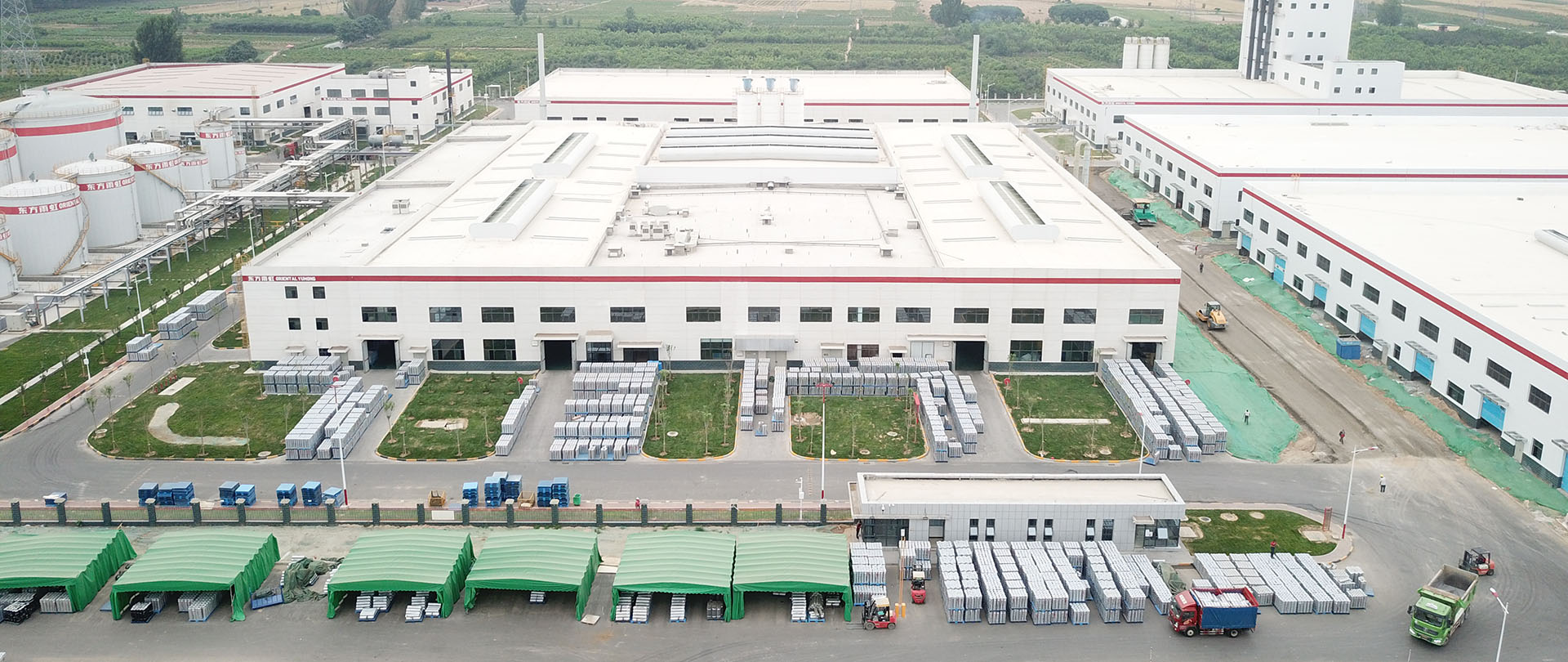 888�ڲ���-����Ϊ��,רҵ����