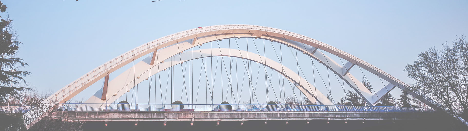 888�ڲ���-����Ϊ��,רҵ����