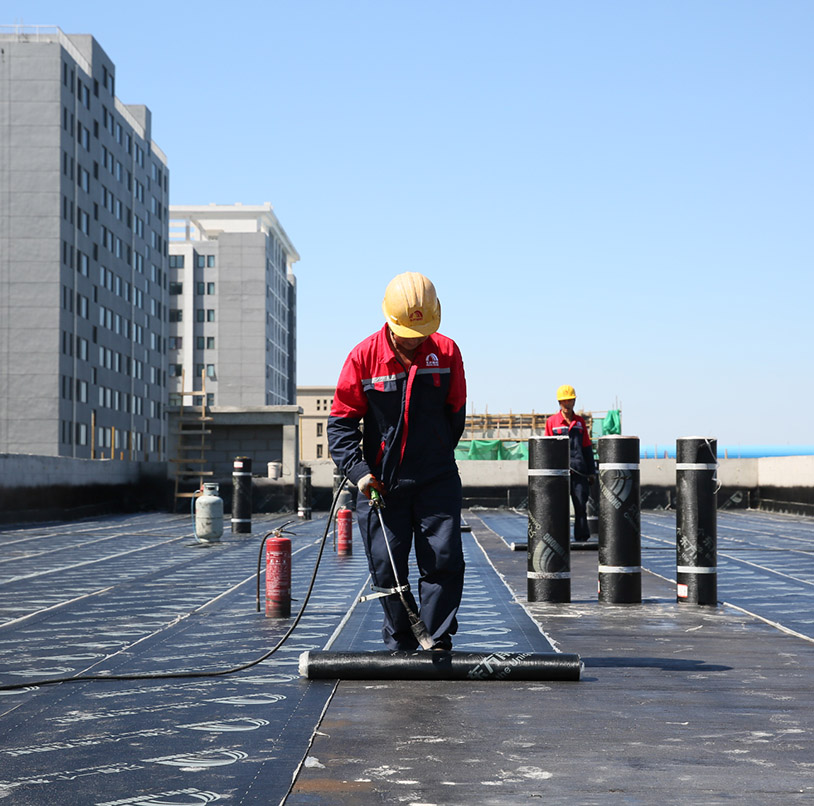 888�ڲ���-����Ϊ��,רҵ����