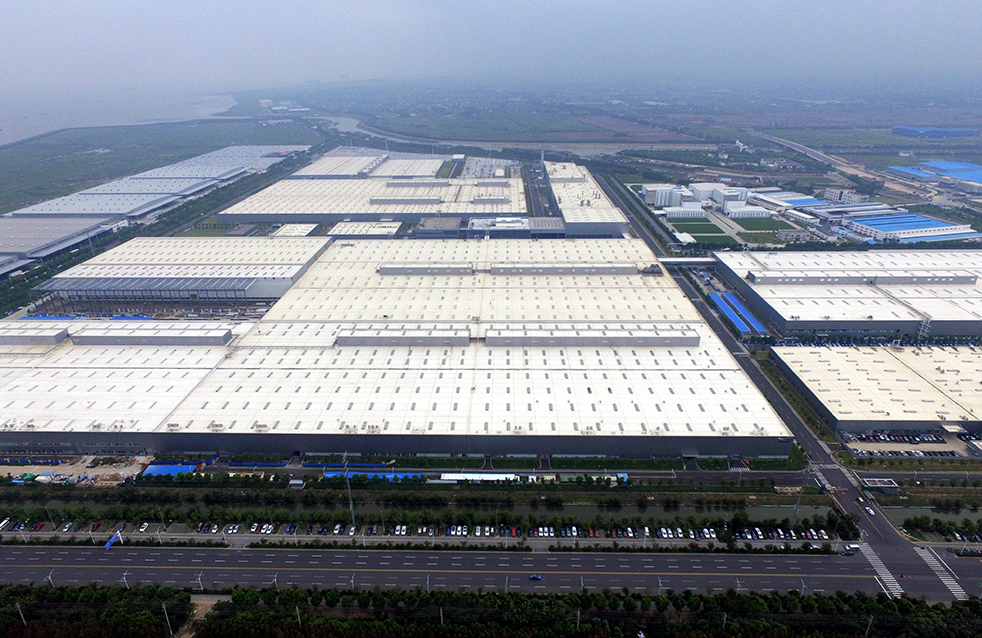 888�ڲ���-����Ϊ��,רҵ����