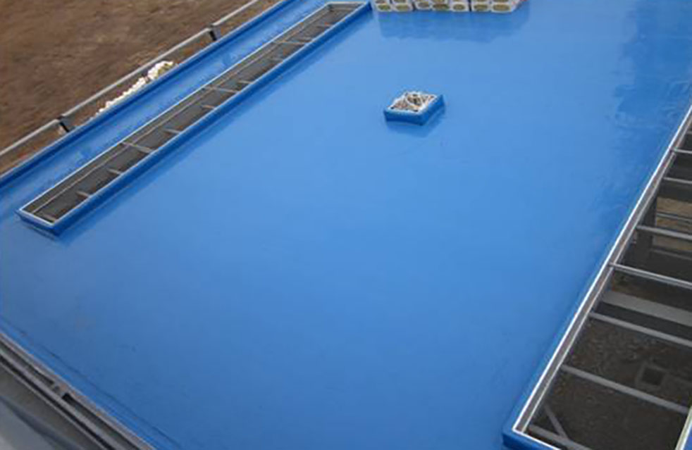 888�ڲ���-����Ϊ��,רҵ����