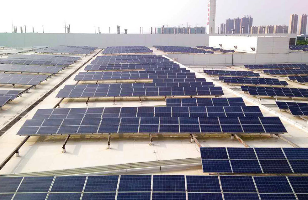 888�ڲ���-����Ϊ��,רҵ����