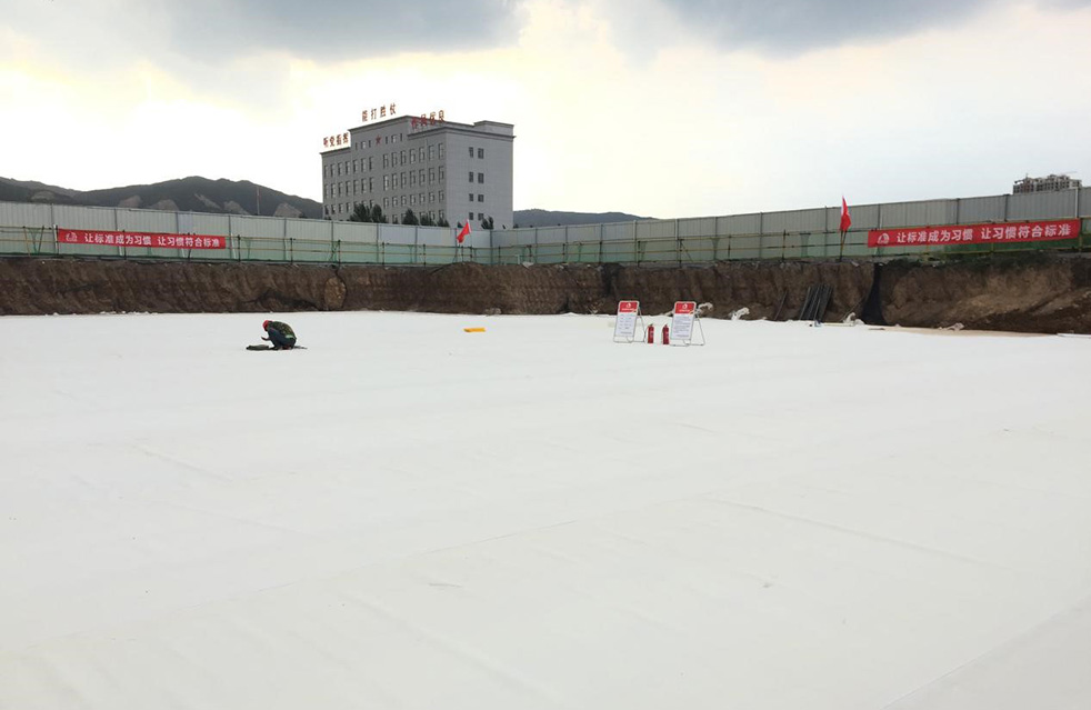 888�ڲ���-����Ϊ��,רҵ����