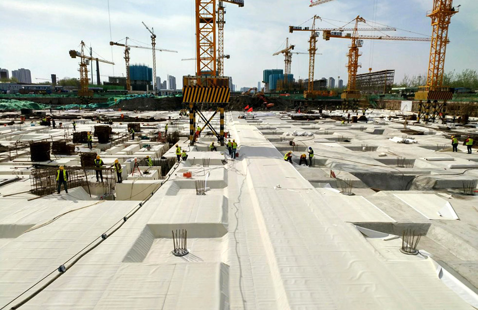 888�ڲ���-����Ϊ��,רҵ����