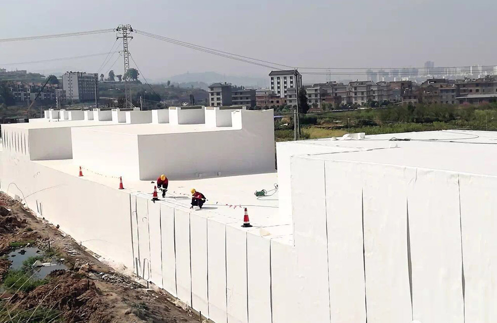 888�ڲ���-����Ϊ��,רҵ����