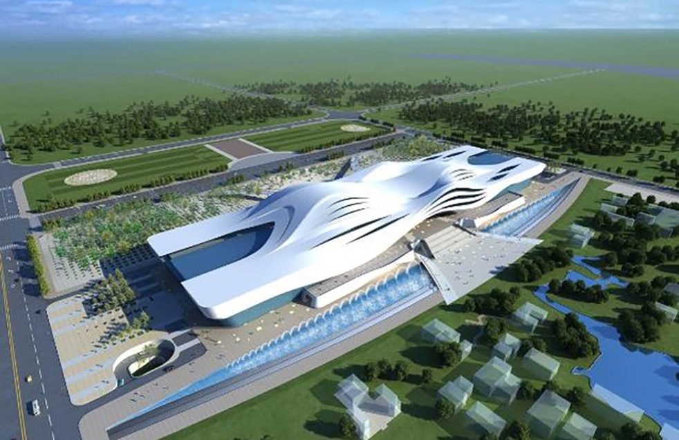 888�ڲ���-����Ϊ��,רҵ����