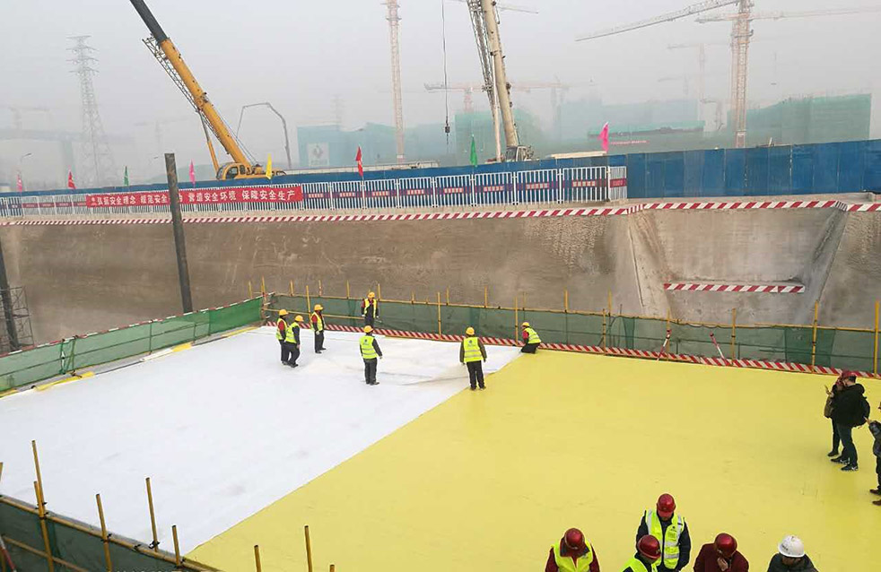 888�ڲ���-����Ϊ��,רҵ����